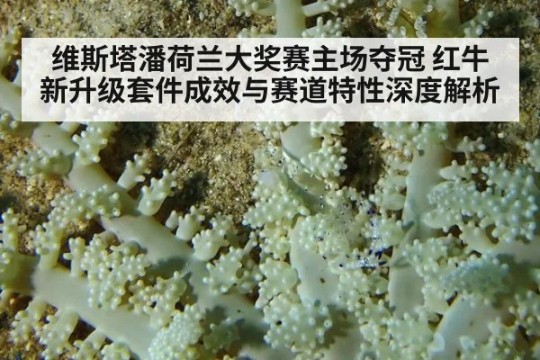 维斯塔潘荷兰大奖赛主场夺冠 红牛新升级套件成效与赛道特性深度解析