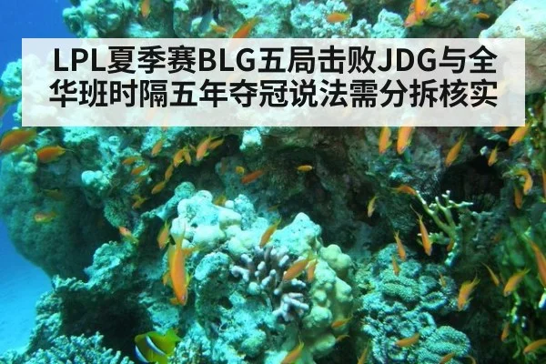 LPL夏季赛BLG五局击败JDG与全华班时隔五年夺冠说法需分拆核实